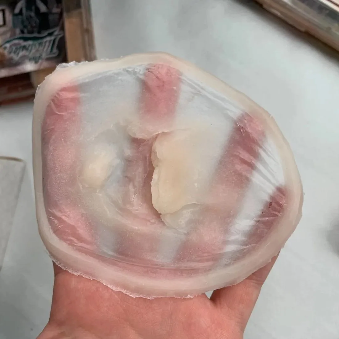 Dog bite cheek wound